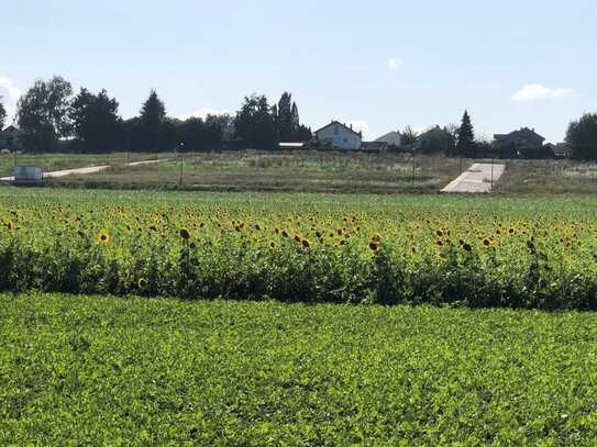 Hier geht die Sonne auf. Baugebiet "Kellerbergbreite" Baugrundstück-Einfamilienhaus