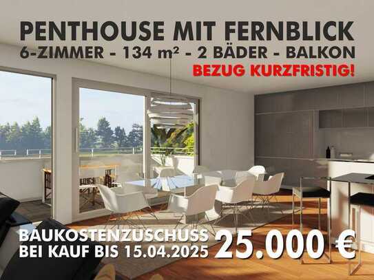 FERNBLICK! PENTHOUSE MIT GROSSEM BALKON!