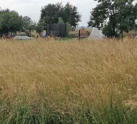 Großzügiges Grundstück am Stadtrand von Finsterwalde