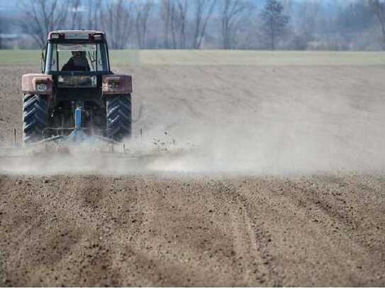 Landwirtschaftliche Fläche | Grünland bei Pasenbach-Vierkirchen!