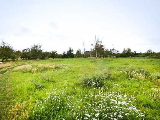 Bauherr gesucht! 18.000m² großes Baugrundstück in Hausneindorf...