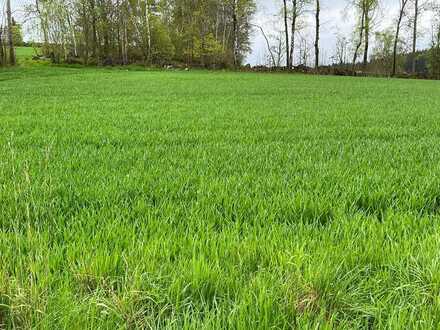 Landwirtschaftliche Flächen in Höchstädt im Fichtelgebirge