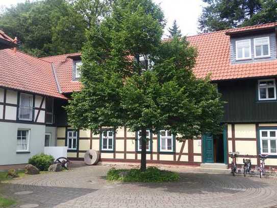 Schöne Singelwohnung/Studentenapartment (1.07) in der Alten Mühle zu vermieten