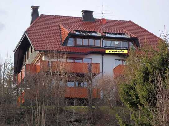 Selten schöne 3-Zimmer-Ferienwohnung mit Panoramablick, Loggia, Kaminofen, Galerie und Garage