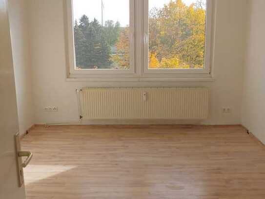 Helle 3-Zimmer-Wohnung in Gerdshagen