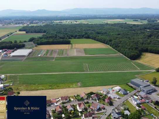 Mehrere Baugrundstücke in Grenznähe zu Rust & Ettenheim