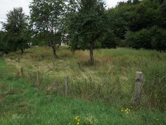 Am Waldrand gelegenes Baugrundstück für Einfamilienhausbebauung