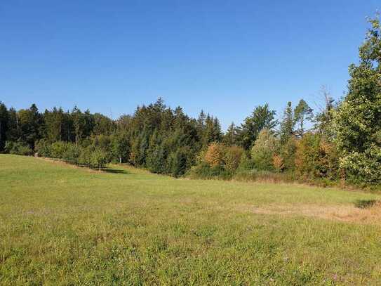 Wald, Wiese, Freizeitgrundstück ?