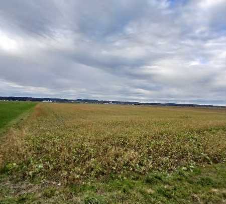 Wertvolle Ackerfläche westlich von Mindelheim/Unterallgäu!