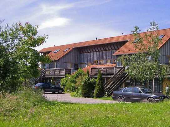 Modernisierte 2,5- Zimmer- DG- Wohnung mit Terrasse, neue energieeffiziente Heizung