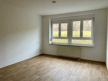 Renovierte 2-Raum Wohnung in Klingenthal