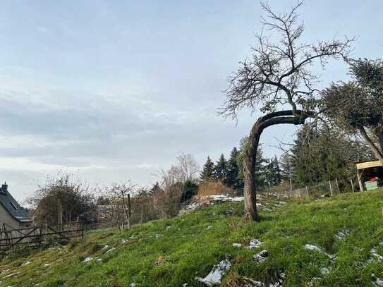 Baugrundstück in ruhiger Natur