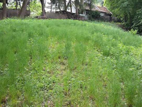 Garten für Freizeit zu vermieten