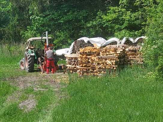 Waldbesitzer gesucht