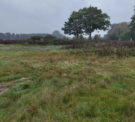 Baugrundstück in Naturlage