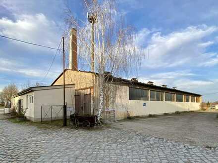 Lagerhalle Halle Werkstatt