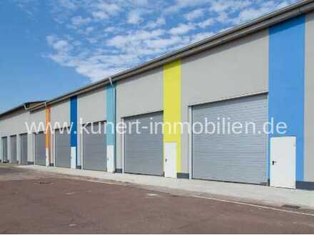 164 m² moderne Lagerfläche mit großem Rolltor und ebenerdigem Zugang in Halle-Ost