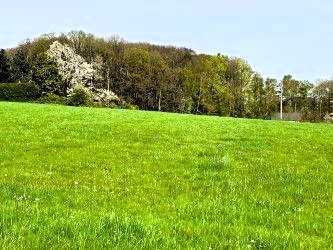 **Wochenendhausgebiet: Ein idyllisches Fleckchen für Erholung und Naturgenuss**