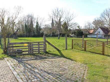 Bauland/ Grundstück in Hamersleben bei Schöningen, Barneberg, Harbke, Helmstedt, Königslutter