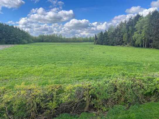 Ackerland und Grünland in Lindern zu verkaufen