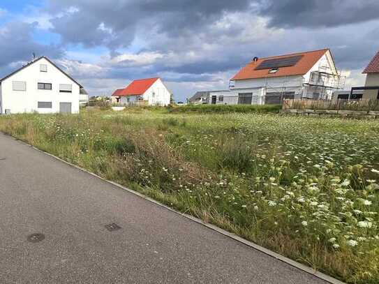 toller Bauplatz im Neubaugebiet von Kandel