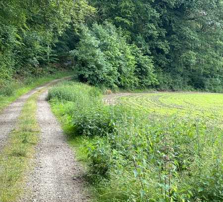 10.254 m² Grundstück mit Gründland und Gehölz in Niederstedem!