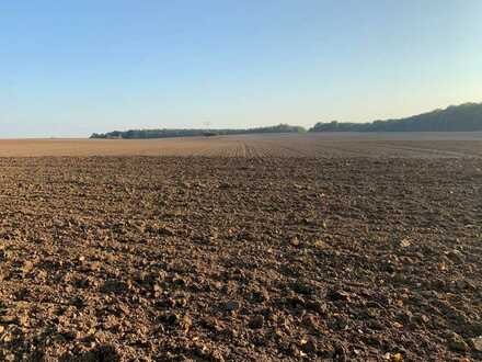 9,6 ha Landwirtschaftsfläche Acker bei Putlitz!