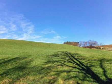 Für Projektentwickler u. Bauträger: Weitläufiges Grünland in idyllischer Lage bei Erding