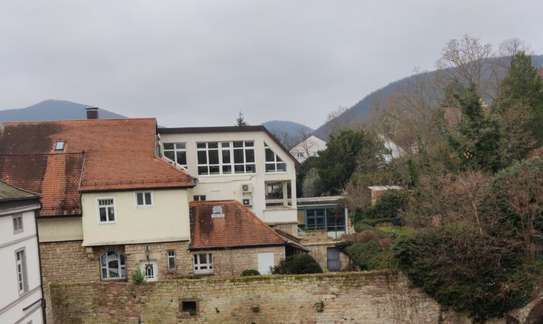 Geschmackvolle 2,5-Raum-Wohnung mit Loggia/Balkon in Neustadt an der Weinstraße