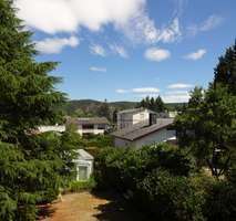 Bald freie, helle und ruhige Wohnung in Randlage von Ebernburg, Blick auf Rotenfels