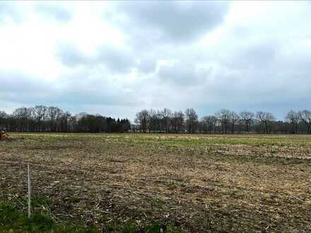 landwirtschaftliche Fläche - Ackerland