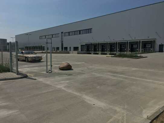 "BAUMÜLLER & CO." - ca. 30.000 m² Logistikfläche - ebenerdige Andienung + Rampen