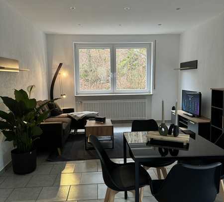 Möblierte 3 Zimmer, Kochnische und Bad Wohnung (auch als Monteurswohnung)