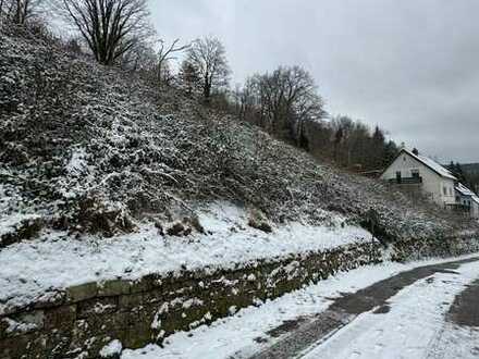 Reduziert !! Großes Grundstück in idyllischer Lage