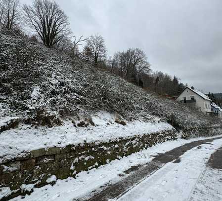 Reduziert !! Großes Grundstück in idyllischer Lage