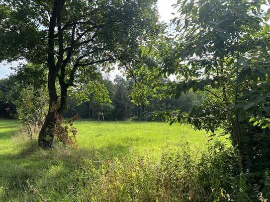 KARSTEN IMMOBILIEN ermöglicht Ihnen: traumhaftes Baugrundstück in Münchehagen / Rehburg-Loccum