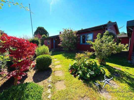 Seltenheit: Vermietung erlaubt! Gemütliches Ferienhaus mit Sauna und Süd-Terrasse in Hohenfelde