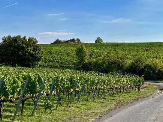 Schöner Bauplatz, angrenzend an Weinberge in absoluter Südlage für eine Doppelhaushälfte..