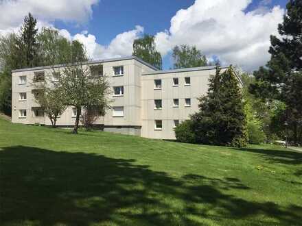 +++ Möbliertes Apartment im schönen Bad Steben +++
