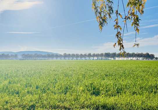 Neubauprojekt/Erstbezug: Büro- und Lagerflächen in ruhiger, attraktiver Lage