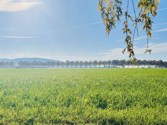 Neubauprojekt/Erstbezug: Büro- und Lagerflächen in ruhiger, attraktiver Lage