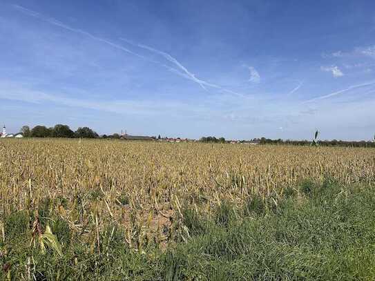 Ackerfläche - Ideal für Landwirte oder Spekulanten!