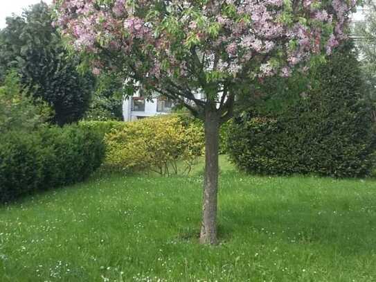 Hohe Wohnqualität in Glashütten