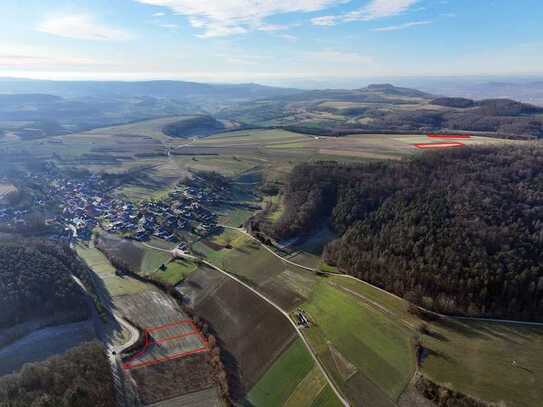 Acker (ca. 1,8 ha) zw. Coburg und Bayreuth