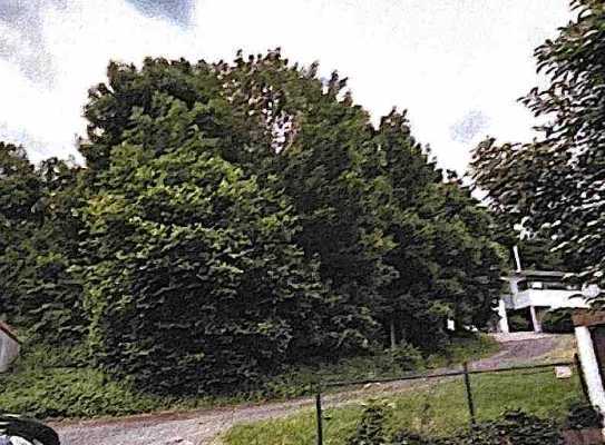 Baugrundstück in bester Lage mit Blick über die Stadt am Waldrand in Blitzenrod