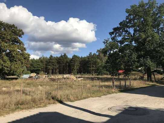 Bauen im Grünen – Ihr Weg zu einem Leben mit der Natur