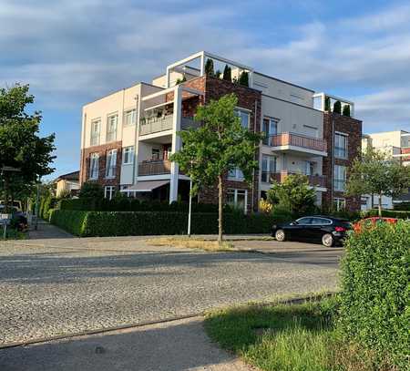 DI - helle 2-Zimmer Wohnung mit Balkon am Volkspark Potsdam