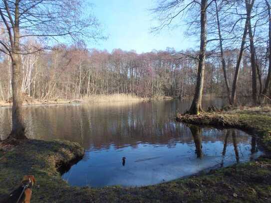 Wohnen am See! Auch als Kapitalanlage geeignet.