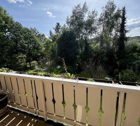 Schöne 3,5-Zimmer-Wohnung mit Balkon und EBK in Aschaffenburg