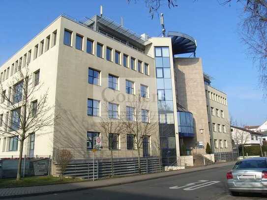 Renovierte Büroflächen mit Terrasse und Balkon!